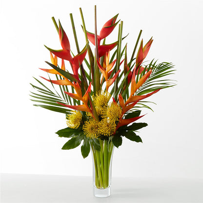 The Drama –  Marcela Floral Design, Sunrise FL