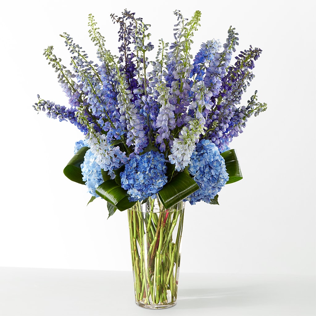 The Editorial –  Marcela Floral Design, Sunrise FL
