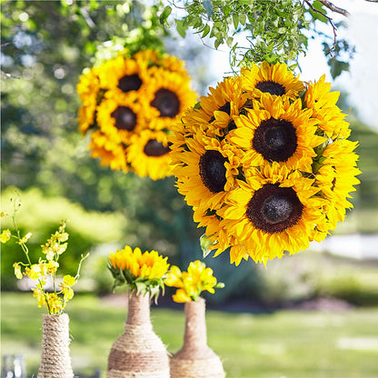 Sublime Garden Hanging Arrangement –  Marcela Floral Design, Sunrise FL
