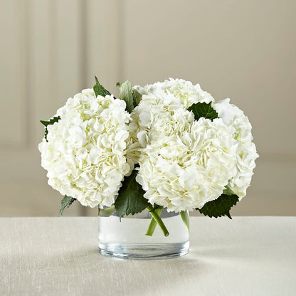 White Hydrangea Bouquet –  Marcela Floral Design, Sunrise FL