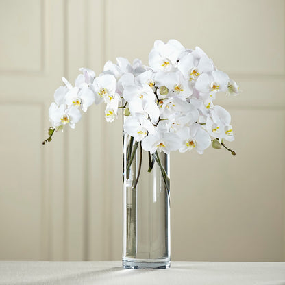 White Phalaenopsis Bouquet –  Marcela Floral Design, Sunrise FL